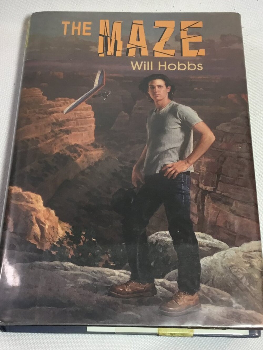 The Maze, USED-Very Good, Hobbs, Will HC/DJ 1998